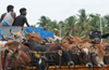 Mangaluru : Cattle lifter caught red handed by villagers in Sulia; thrashed black and blue